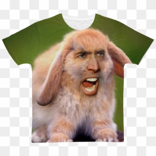 Nicolas Cage's Face On A Rabbit ﻿classic Sublimation - Nicolas Cage As A Dog, HD Png Download