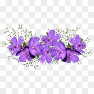 Purple Flowers - Фиолетовые Цветы Пнг, HD Png Download