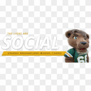 Promo Ad - Social Media - Teddy Bear, HD Png Download