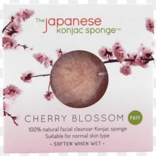 Facial Cherry Blossom Konjac Sponge - Cranberry, HD Png Download