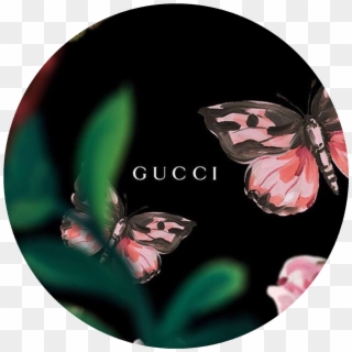 Gucci Pop Grip, HD Png Download