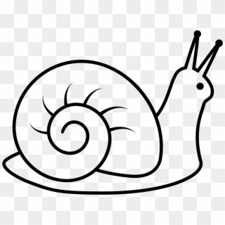Png File - Black And White Snail Clipart, Transparent Png