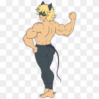 Muscle Chat Noir By Juacamo-dbgtjch - Chat Noir Muscle Growth, HD Png Download