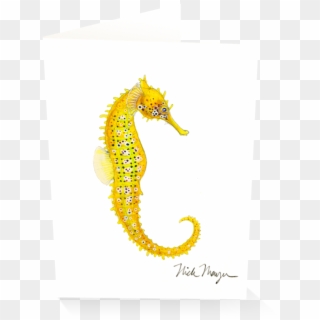 Drawing Seahorse Pacific - Northern Seahorse, HD Png Download