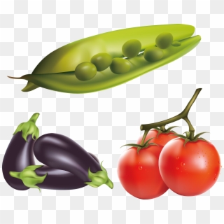 Eggplant Tomato Clip Art Realistic Renderings Ⓒ - Realistic Vector Set Of Fruits And Vegetables, HD Png Download