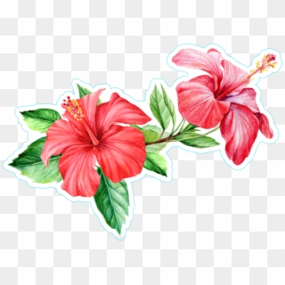 Vinyl Car Window Hawaiian Flower Stickers Png Vinyl - Flower Bouquet Tropical Png, Transparent Png
