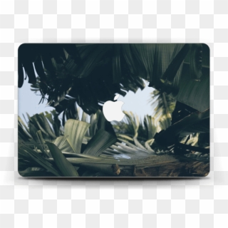 Tropical Leaves Skin Macbook Air 13” - Mouse, HD Png Download