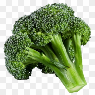 Broccoli White Background, HD Png Download