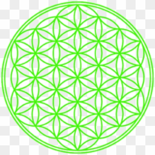 Flower Of Life For Crystal Grid, HD Png Download