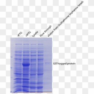 Gst Purification Kit - Plot, HD Png Download