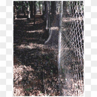 Lichtscheid Forest Tree Fence Sculpture - Chain-link Fencing, HD Png Download