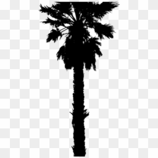 California Palm Tree Silhouette, HD Png Download