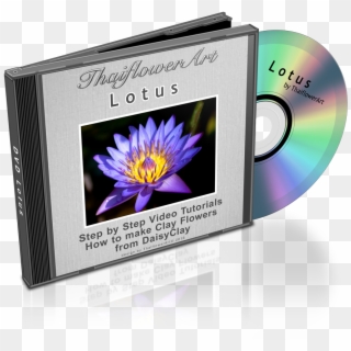 Dvd Lotus - Natiruts Reggae Power (sambaton), HD Png Download