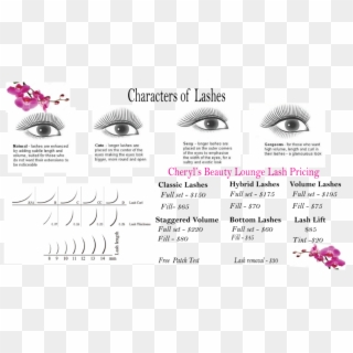 Lash Lifts - - Graphic Design, HD Png Download