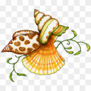 Royalty Free Seashell Happy Birthday Errortape Me - Sea Shells Clip Art, HD Png Download