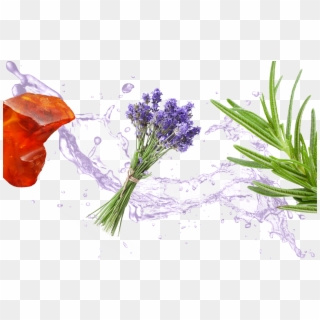 If You Like Lavender, You'll Also Love - Png Background Water Transparent, Png Download