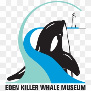 Killer Whale, HD Png Download
