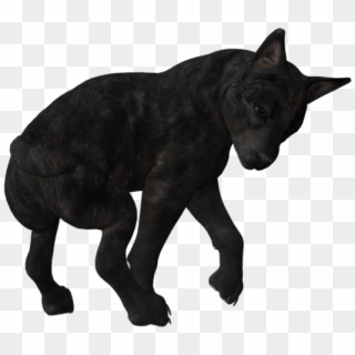 Pup Png Images - Black Wolf Pup Png, Transparent Png