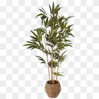 Summer 2016 £45 3ft Artificial Mini Bamboo Tree In - Palm Chamaedorea Cataractarum, HD Png Download