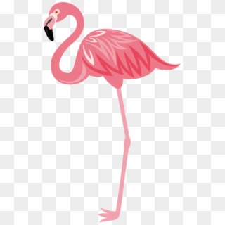 Flamingos Png, Transparent Png