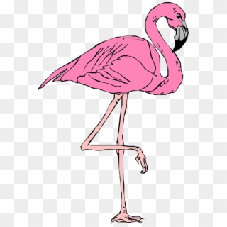 Desenho Flamingo Png - Roblox T Shirt Flamingo, Transparent Png