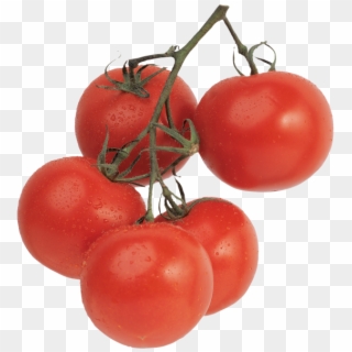 Tomato, HD Png Download