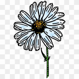 Daisy Png Black And White, Transparent Png