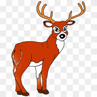 White Tailed Deer - Elk Clipart, HD Png Download