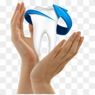 Single Teeth Png Free Download - Dentistry, Transparent Png