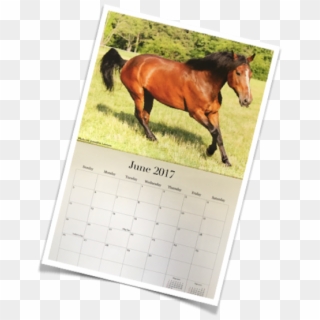 2017 Riding Centre Calendar - Sorrel, HD Png Download