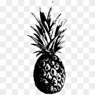 Pineapple, HD Png Download