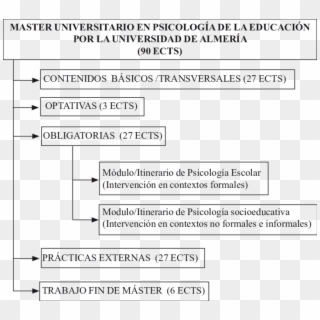 Estructura Del Master De Psicología De La Educación - University Of Cartagena, HD Png Download