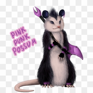 Possum Png, Transparent Png