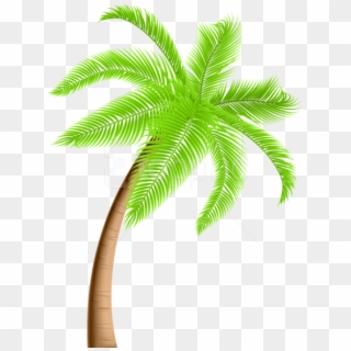 Free Png Download Palm Tree Png Png Images Background - Clipart Palm Tree Png, Transparent Png