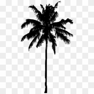 Free Png Palm Tree Silhouette Png Images Transparent - Palm Tree Silhouette Png, Png Download