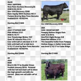 How A Tag Sale Works - Dairy Cow, HD Png Download