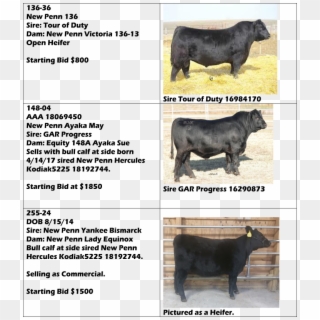 How A Tag Sale Works - Dairy Cow, HD Png Download
