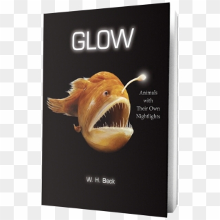 Glow Book On Transparent Background - Glow Animals With Their Own Night Lights, HD Png Download