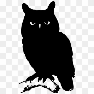 Silhouette Of An Owl - Owl Silhouette Png, Transparent Png