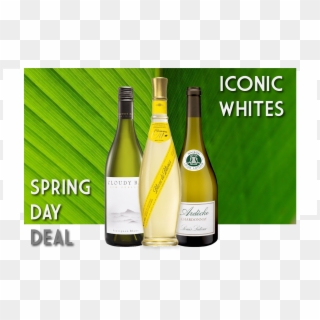Spring Deal@4x - Champagne, HD Png Download