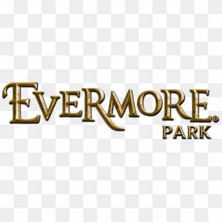 There Has Been A Lot Of Talk About Evermore In The - Bronze, HD Png Download