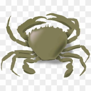 The Crab Big Image Png - Animals Live In The Water, Transparent Png