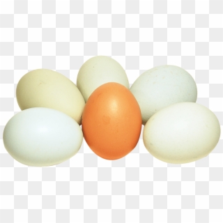 Free Png Images - Egg, Transparent Png