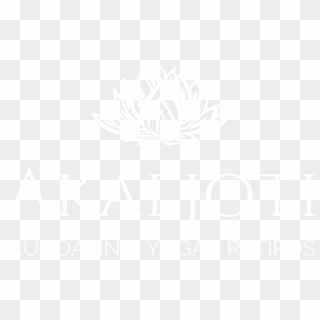 Johns Hopkins Logo White, HD Png Download