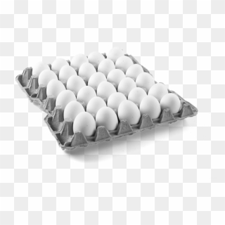 20 Lbs - Egg With Tray Png, Transparent Png