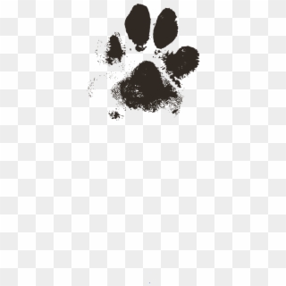 Dog Paw Paw Print Paw Prints - Dog Paw Print Vector, HD Png Download