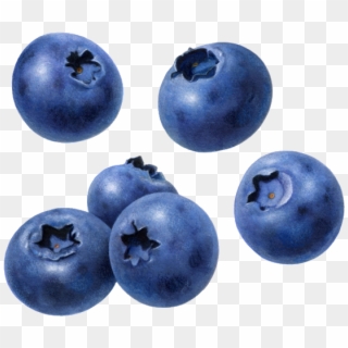 Blueberry - Blueberry Png Free, Transparent Png