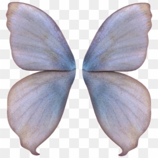 Fairy Wings Png - Realistic Fairy Wings Png, Transparent Png