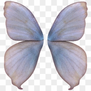 Fairy Wings Png Transparent For Free Download Pngfind