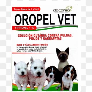 Oropel Vet Pour On Perros Y Gatos - Folleto De La Veterinaria, HD Png Download
